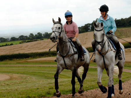 Horses and Spa 